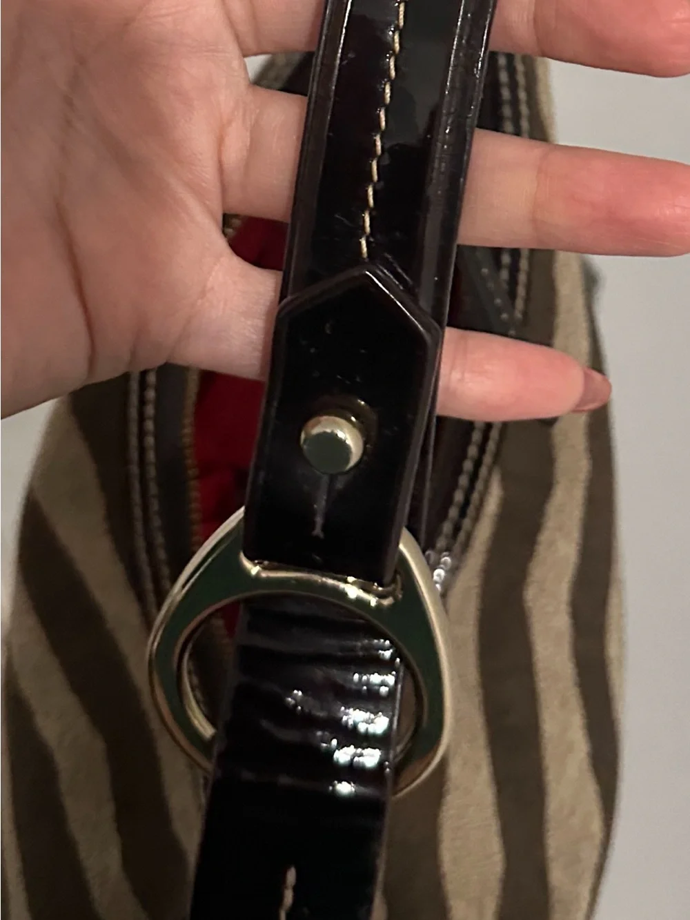 Dooney & Bourke Brown and Cream Zebra Stripe Shoulder Bag
